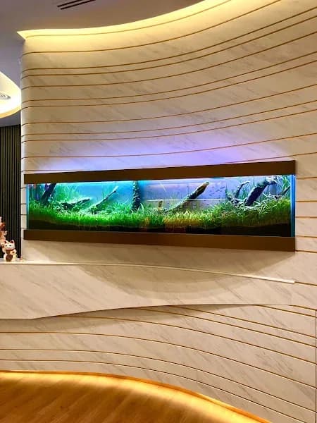 Aesthete Smilestudio clinic